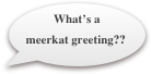 What’s a meerkat greeting??